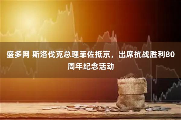 盛多网 斯洛伐克总理菲佐抵京，出席抗战胜利80周年纪念活动