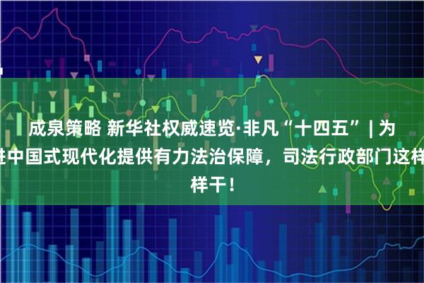 成泉策略 新华社权威速览·非凡“十四五” | 为推进中国式现代化提供有力法治保障，司法行政部门这样干！