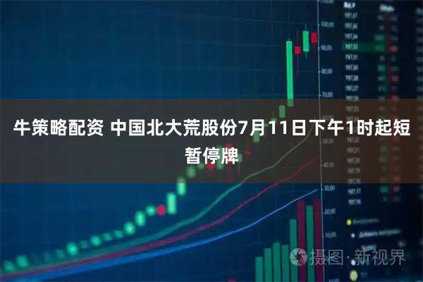 牛策略配资 中国北大荒股份7月11日下午1时起短暂停牌